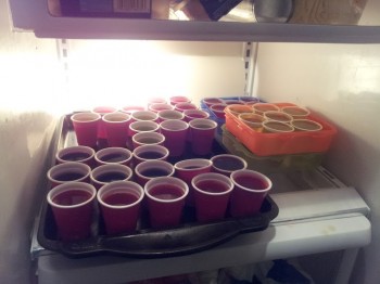 All the jello shots i had to do this project. I went through al ot of beer as well.. lol