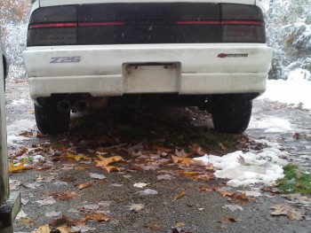 Rear Bumper Shot