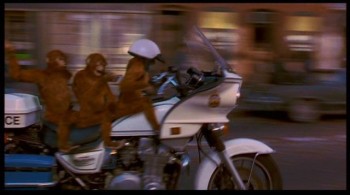 Police Monkeys.jpg