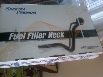 fillerneck.jpg