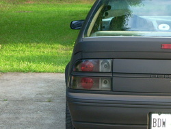 tail light.jpg