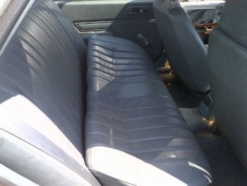 corsyleather2.jpg