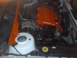 IMG_0360.JPG