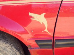 beretta shark.jpg