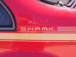 shark word.jpg