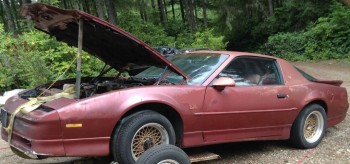1987GTALftFtSd2b.jpg (205.45 KiB) Viewed 21677 times First-year GTA, solid car needing minimal body-work, and of course, paint...