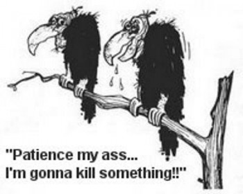 Patience NO.jpg (16.95 KiB) Viewed 9856 times Heere, Mustang, Mustang, Mustang!