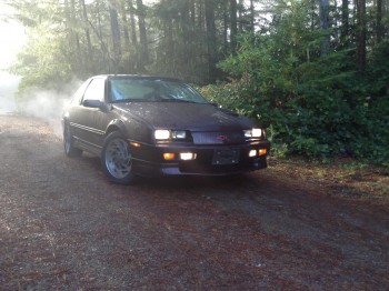 FtQtrRgt1a.jpg (147.83 KiB) Viewed 16461 times EDIT: There, that is better! Much better pic than the other one...