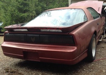 GTA Rr Qtr 1a.jpg (183.08 KiB) Viewed 29194 times First-Year GTA, L98 car. Getting '89 TTA 'Tribute' mods...